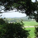 作山古墳から五重塔を見る
